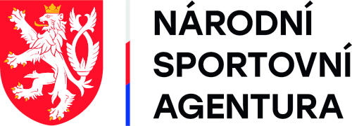 nsa logo
