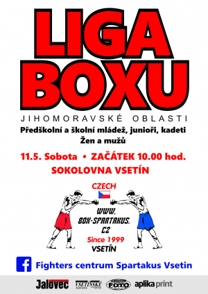 Liga boxu Jihomoravsk&eacute; oblasti - Vset&iacute;n